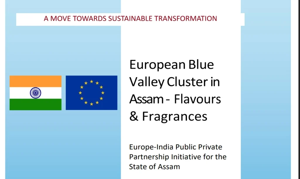 European Blue Valley Cluster